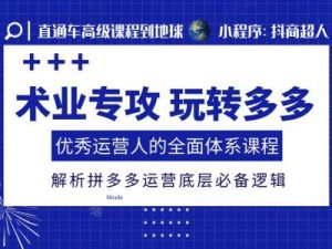 术业专攻玩转多多,优秀运营人的全面体系课程,解析拼多多运营底层必备逻辑-第一资源库