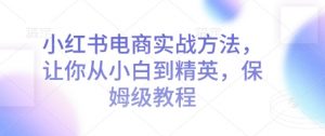 小红书电商实战方法,让你从小白到精英,保姆级教程-第一资源库