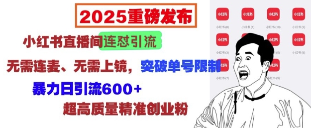 2025重磅发布:小红书直播间连怼引流,无需连麦、无需上镜,突破单号限制,暴力日引流600+-第一资源库