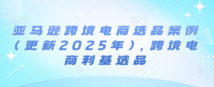 亚马逊跨境电商选品案例(更新2025年),跨境电商利基选品-第一资源库