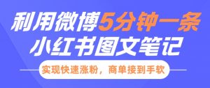 小红书利用微博5分钟一条图文笔记,实现快速涨粉,商单接到手软-第一资源库