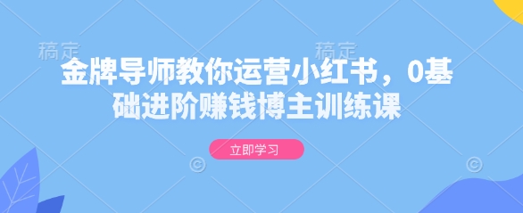 金牌导师教你运营小红书,0基础进阶赚钱博主训练课-第一资源库