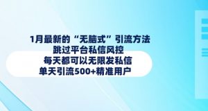 1月最新的无脑式引流方法,跳过平台私信风控,每天都可以无限发私信,单天引流500+精准用户-第一资源库