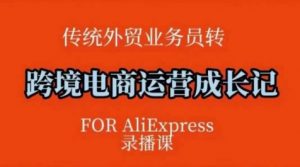 跨境电商速卖通运营课,运营方法论+后台实操,逻辑清晰-第一资源库