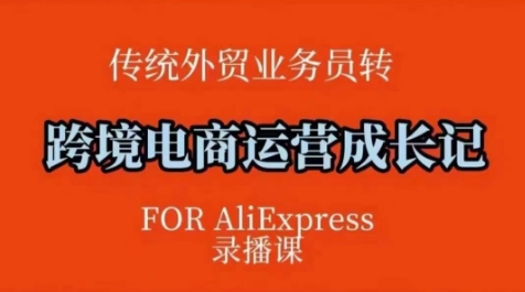 跨境电商速卖通运营课,运营方法论+后台实操,逻辑清晰-第一资源库