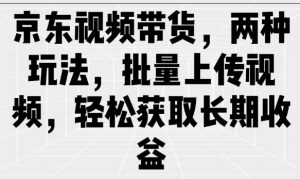 京东视频带货，两种玩法，批量上传视频，轻松获取长期收益-第一资源库