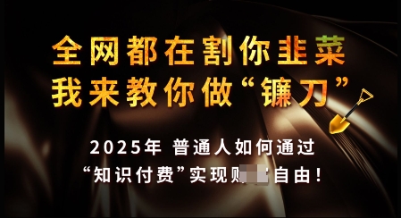知识付费如何做到月入过W+,2025我来教你做“镰刀”【揭秘】-第一资源库