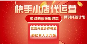 快手小店代运营,被动躺Z收益,收益五五分,单日稳定变现五张【揭秘】-第一资源库