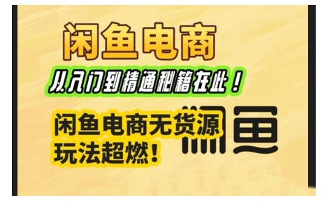 闲鱼电商实战课,从入门到精通秘籍在此,闲鱼电商无货源玩法超燃!-第一资源库
