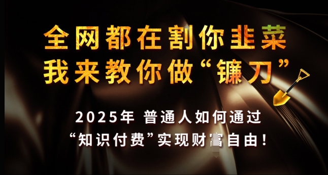 全网都在割你韭菜,我来教你做镰刀,2025年普通人如何通过 知识付费 实现财F自由【揭秘】-第一资源库