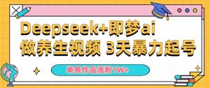 小白用DeepSeek+即梦做ai养生视频,一条作品涨粉5万+,单日收益多张-第一资源库
