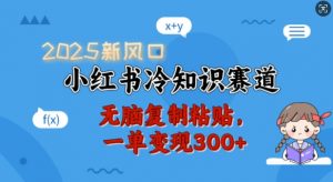 2025新风口,小红书冷知识赛道,无脑复制粘贴,一单变现300+-第一资源库