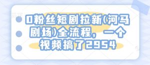 0粉丝短剧拉新(河马剧场)全流程,一个视频搞了2954-第一资源库