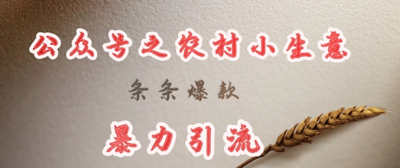 deepseek写农村小项目,条条爆款,暴力引流-第一资源库