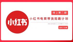 2025小红书虚拟电商实战课,从0到1打造无货源店铺,AI+爆款笔记轻松变现-第一资源库