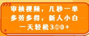 审核视频，几秒一单，多劳多得，新人小白一天轻松3张【揭秘】-第一资源库