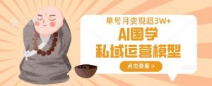 AI国学私域运营模型,单号月变现过W-第一资源库