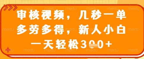 审核视频,几秒一单,多劳多得,新人小白一天轻松3张【揭秘】-第一资源库