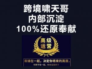 漫威跨境特训营-跨境电商教程-第一资源库