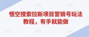 悟空搜索拉新项目营销号玩法教程，有手就能做-第一资源库