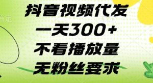 抖音视频代发一天3张+,不看播放量,无粉丝要求【揭秘】-第一资源库