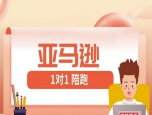 亚马逊1对1陪跑课(FBA/FBM精铺)跨境亚马逊教程-第一资源库
