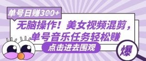 无脑操作!美女视频混剪,单号音乐任务轻松日入3张+-第一资源库