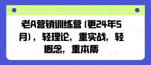 老A营销训练营(更25年4月),轻理论,重实战,轻概念,重本质-第一资源库
