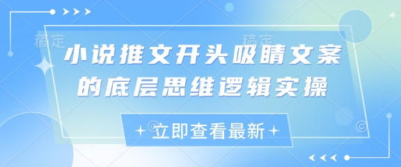 小说推文开头吸睛文案的底层思维逻辑实操-第一资源库