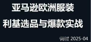 跨境电商选品案例24-25年，聚焦跨境电商选品策略与运营优化，助力卖家挖掘蓝海市场-第一资源库
