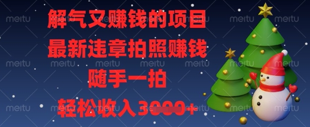解气又挣钱的项目,最新违章拍照挣钱,随手一拍,轻松收入数张【揭秘】-第一资源库