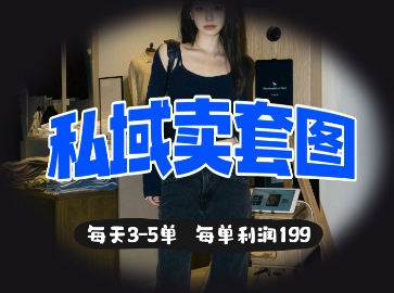私域卖套图每天3-5单,每单利润99-第一资源库