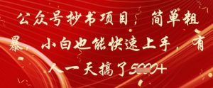 公众号抄书项目，简单粗暴，小白也能快速上手，有人一天搞了1k+-第一资源库