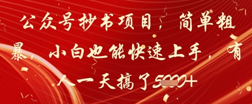 公众号抄书项目,简单粗暴,小白也能快速上手,有人一天搞了1k+-第一资源库