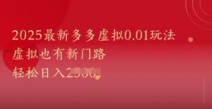 2025最新多多虚拟0.01玩法!虚拟也有新世界,轻松日入1k+-第一资源库