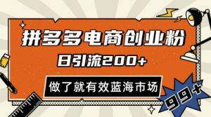 拼多多引流电商创业粉，日引200+，可矩阵放大，做了就有效【揭秘】-第一资源库