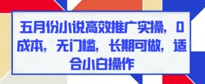 五月份小说高效推广实操，0成本，无门槛，长期可做，适合小白操作-第一资源库