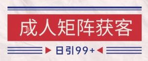 小红书某音橙人赛道引流获客,自热矩阵日引200+【揭秘】-第一资源库