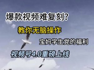 视频号4.0重磅上线,爆款视频难复刻?教你无脑操作宝妈学生党的福利【揭秘】-第一资源库