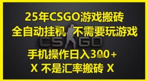 25年CSGO游戏搬砖,全自动运行,不需要玩游戏,手机操作日入3张(不是汇率搬砖)【揭秘】-第一资源库