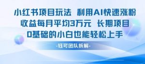 适合小白操作的小红书新项目,利用AI快速涨粉,收益每月平均1W+-第一资源库