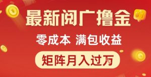 最新阅广撸金项目，零成本满包收益，可矩阵操作，月入过1W【揭秘】-第一资源库