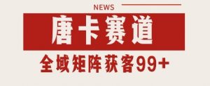 唐卡赛道私域引流获客 自热矩阵SOP日引流99+精准客资【揭秘】-第一资源库