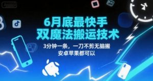 6月底最新快手双魔法搬运技术,3分钟一条,一刀不剪无脑搬,安卓苹果都可以-第一资源库