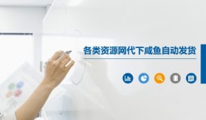 各类资源网代下咸鱼自动发货-第一资源库