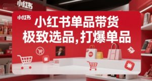 小红书单品带货,极致选品,打爆单品(更新)-第一资源库