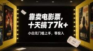 靠卖电影票,十天搞了7k+,小白无门槛上手,零投入【揭秘】-第一资源库