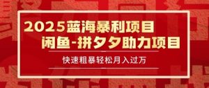 2025 最新闲鱼蓝海暴利项目 快速粗暴让你月入过1W不是梦,保姆级教程【揭秘】-第一资源库