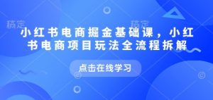 小红书电商掘金课,小红书电商项目玩法全流程拆解(更新7月)-第一资源库