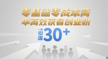 零基础零成本简单高效获客创业粉，一天引流30+-第一资源库